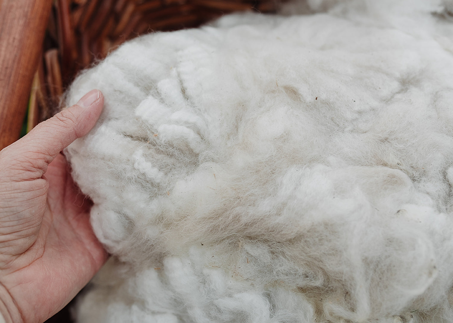 Alpaca Fleece