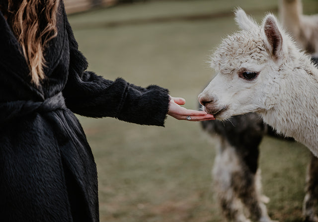 Ladies’ Long Belted Suri Alpaca Coat