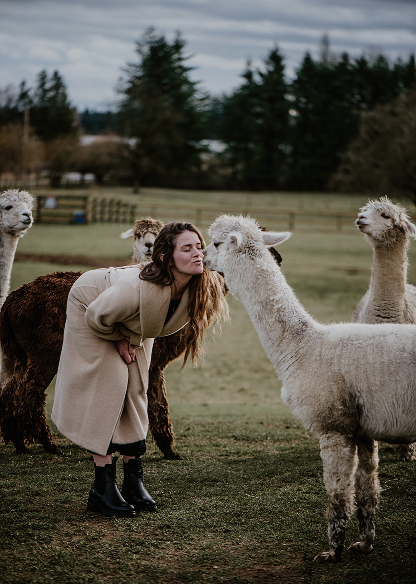 Ladies' Long Belted Alpaca Coat – Kensington Prairie Farm Ltd.