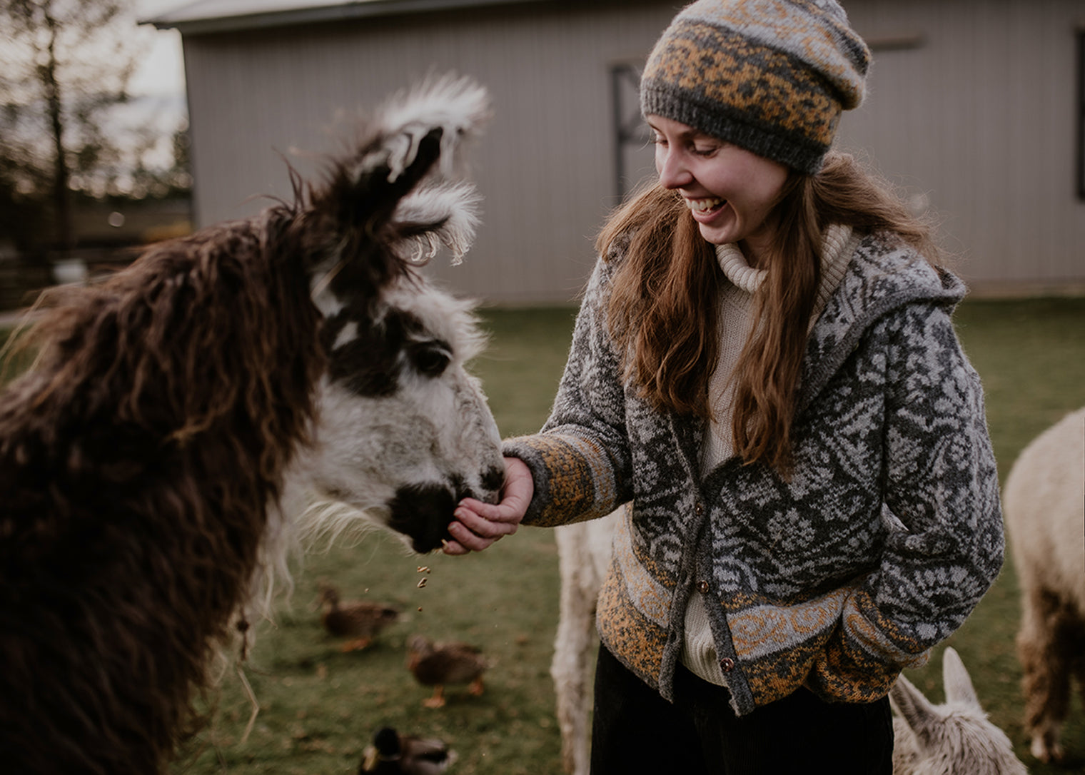 Women's Jacquard Hooded Cardigan