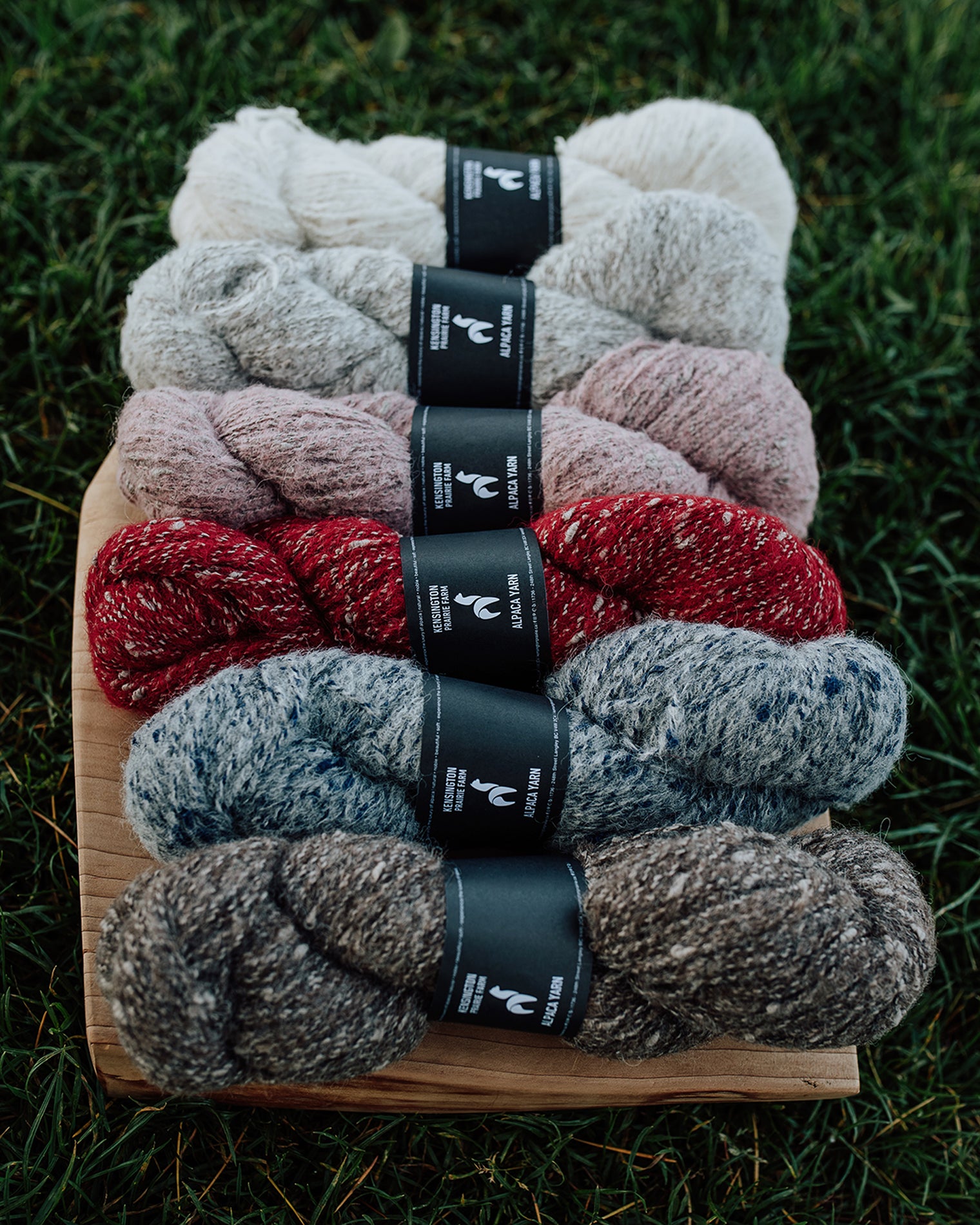 1-Ply Palpa Alpaca Blend