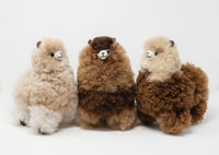 Standing Alpaca