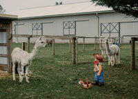 Spooky Alpaca Yoga - Friday, October 23rd, 2026