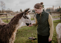 Women's Quilted Alpaca Vest