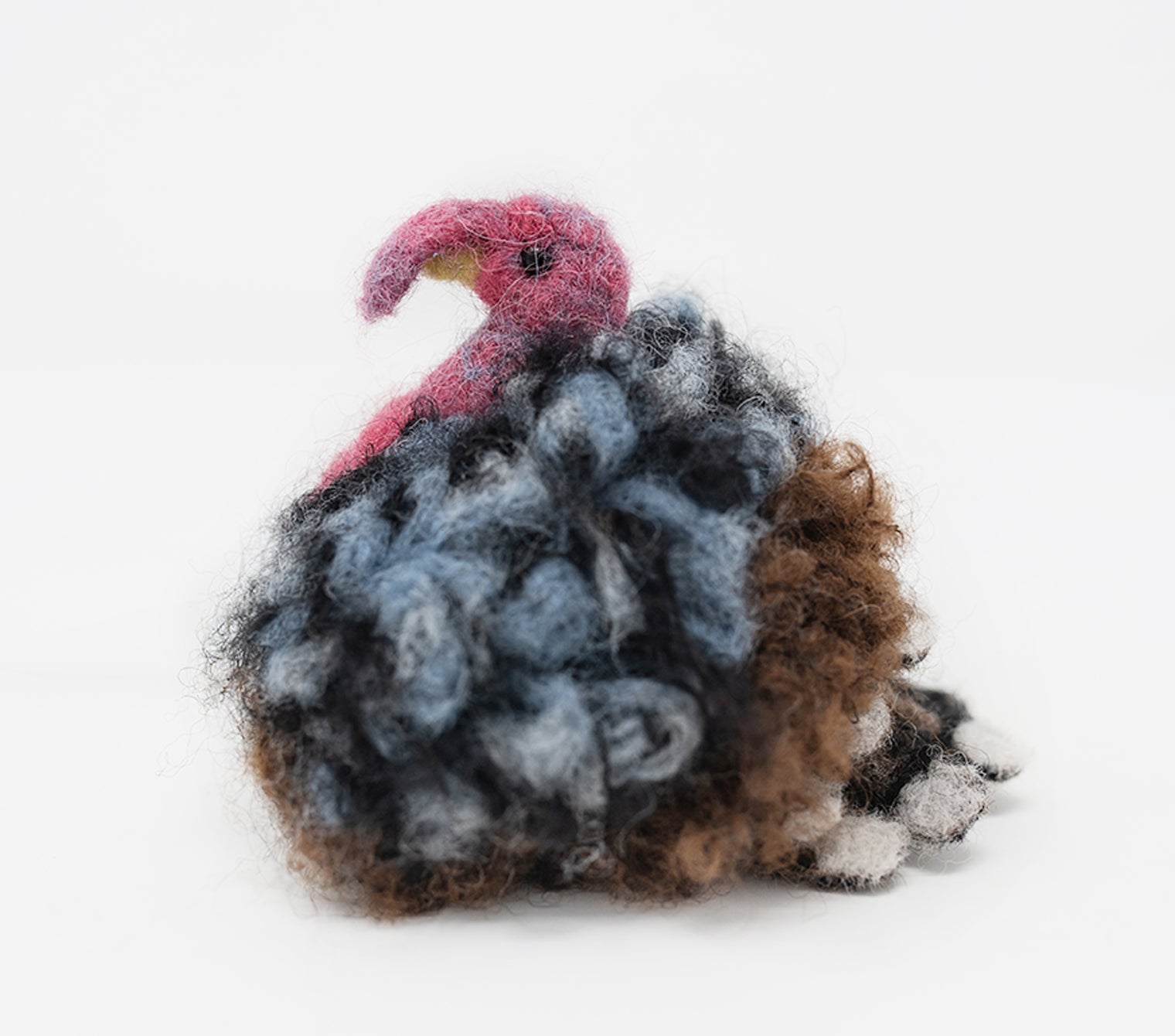 'Rinaldo' The Turkey