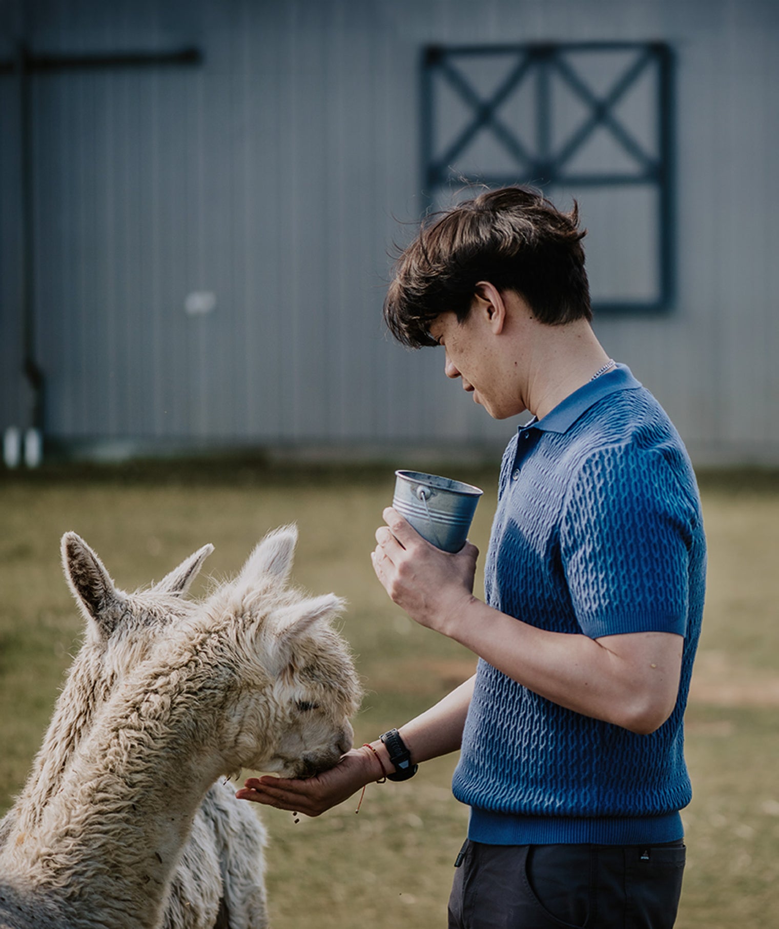 Men's Knit  Cable T-Shirt