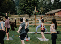 Alpaca Yoga - June 27th, 2026