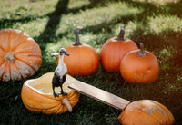 Spooky Alpaca Yoga - Friday, October 23rd, 2026
