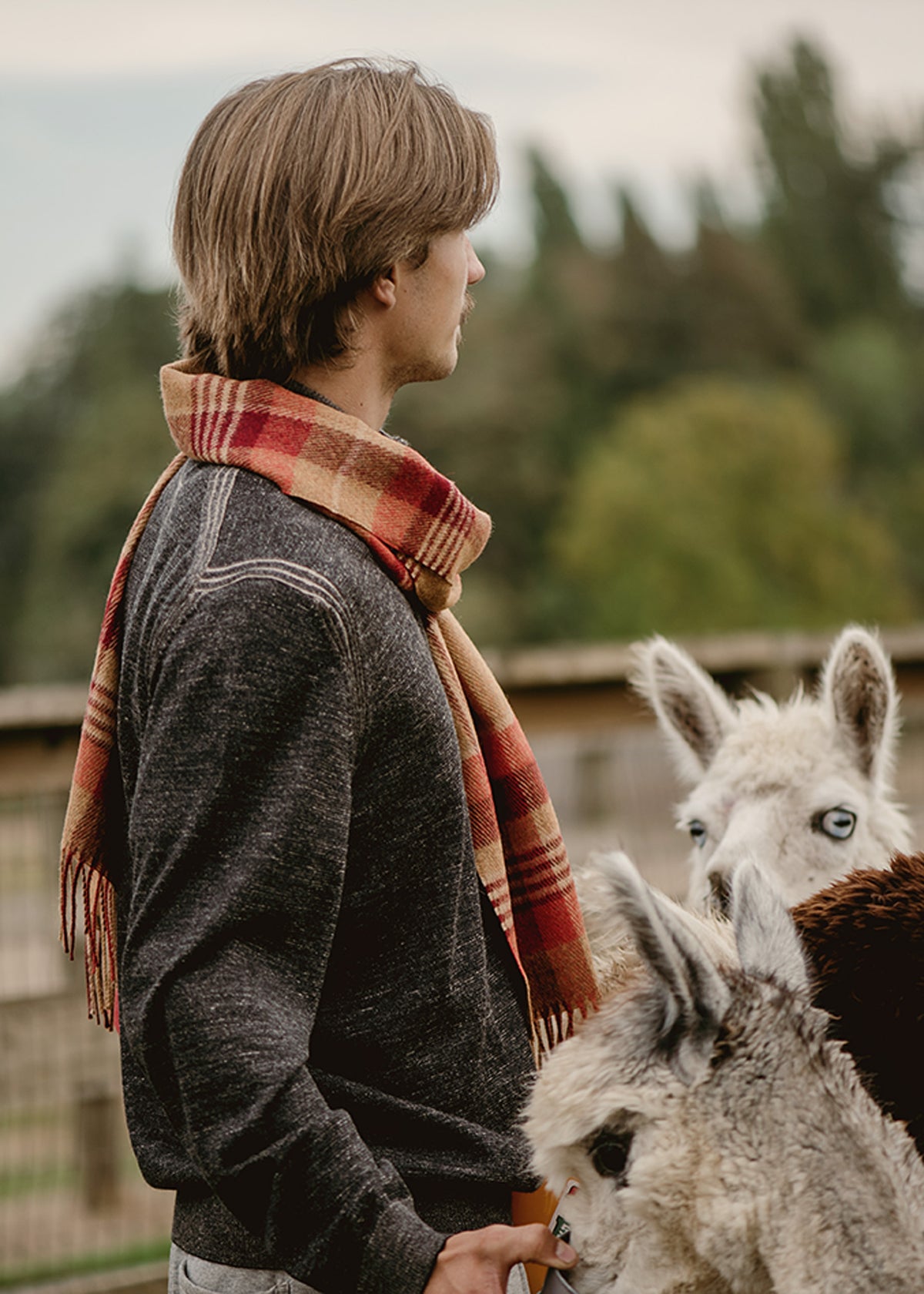 Chopin Quarter Zip Alpaca Sweater