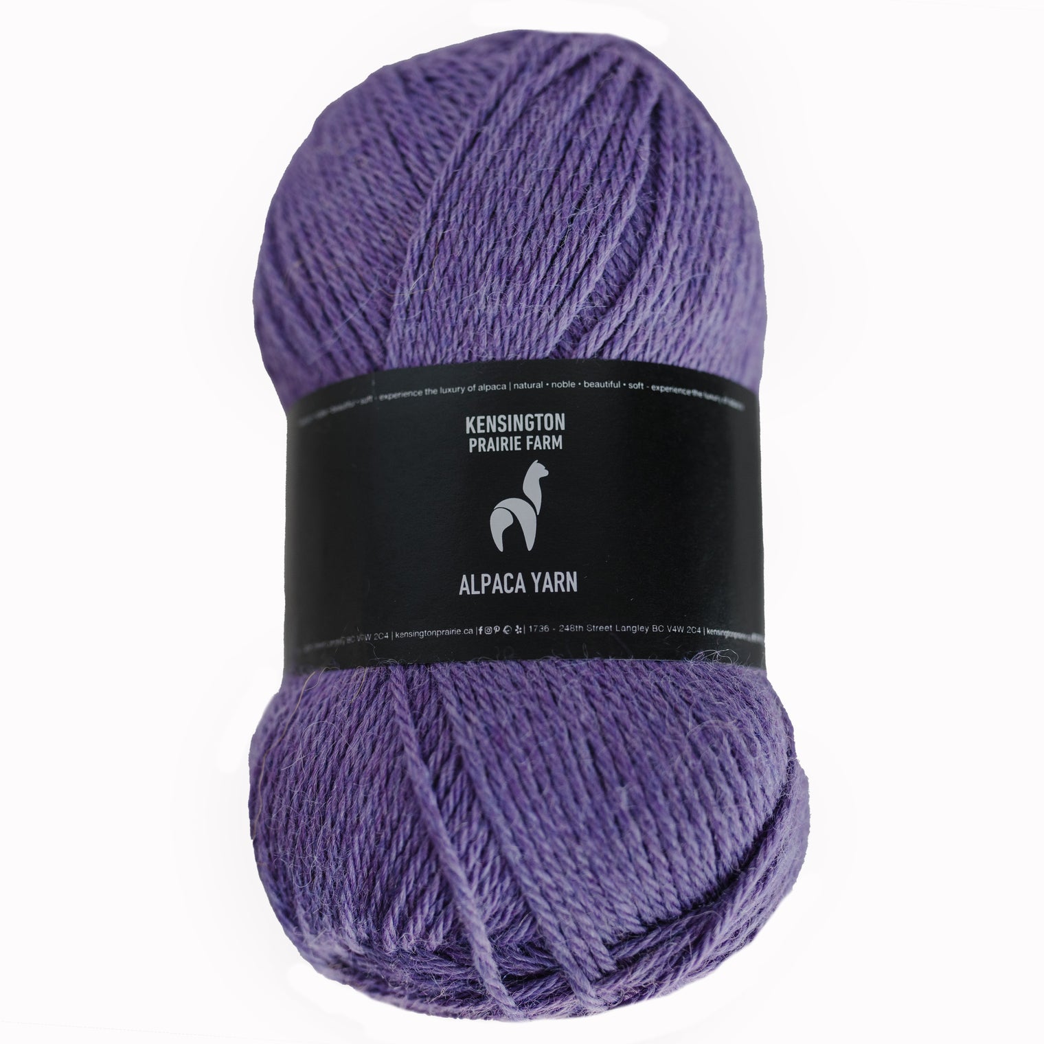 4-Ply Muhu Baby Alpaca