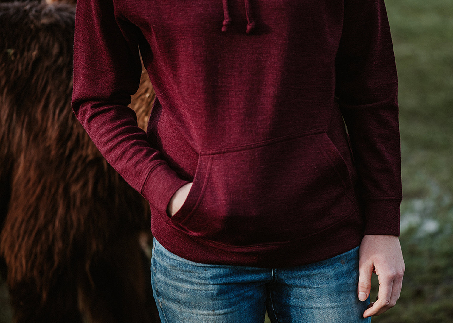 Alpaca Hooded Pullover