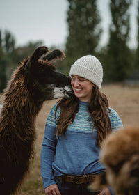 Canela Fair Isle Sweater