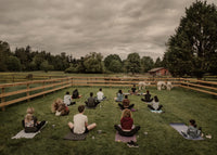 Alpaca Yoga - September 29th, 2026