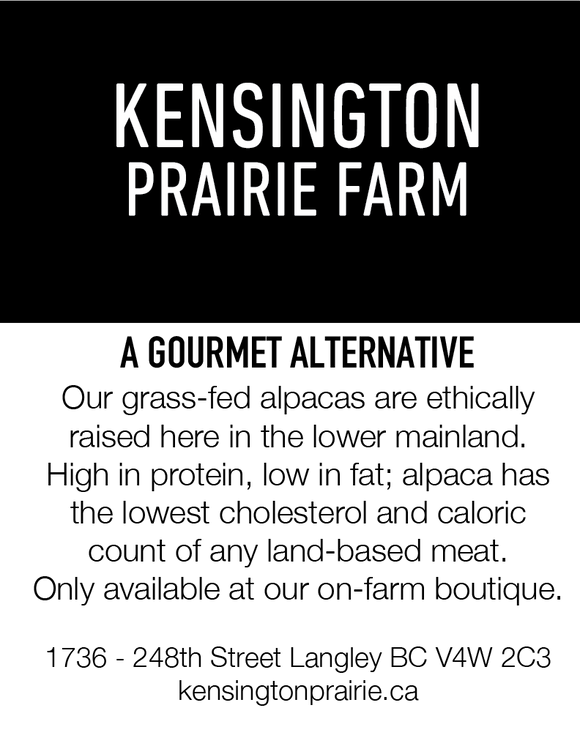 Classic Plaid Scarf – Kensington Prairie Farm Ltd.