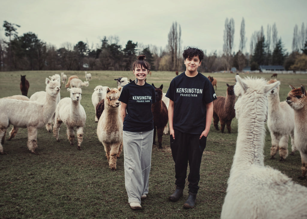 KPFarm Shearing T-Shirt