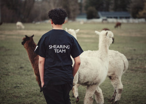 KPFarm Shearing T-Shirt